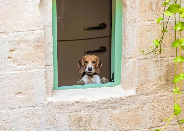 Casa San Carlo 'premium' *