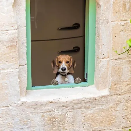 Casa San Carlo 'premium' *